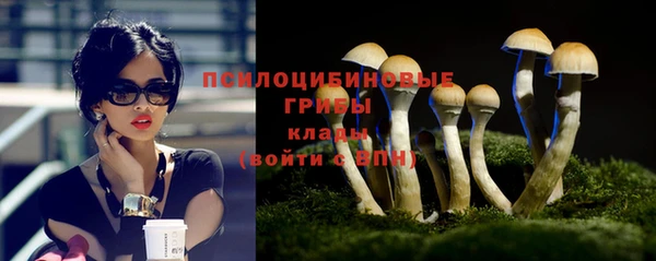 эйфоретик Верея