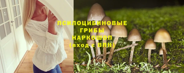 эйфоретик Верея
