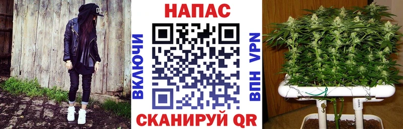 Купить  Остров  Бошки Шишки Ganja 